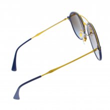 Unisex Round Shape Acetate Sunglasses RB4287872B955