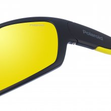 Gafas de sol de acetato con forma ovalada PLD7029 unisex