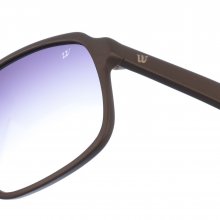 WE0131 women's acetate frame sunglasses