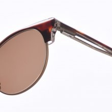 Unisex Pantos Z426 Shape Acetate and Metal Sunglasses