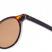 Unisex Z518 Pantos Shaped Acetate Sunglasses