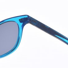 Unisex Z435 Pantos Shape Acetate Sunglasses