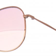 Sunglasses DK102S