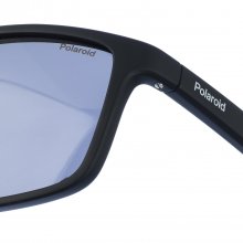 Sunglasses PLD7040S