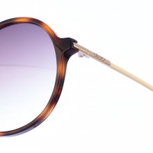 Acetate and metal sunglasses with oval shape LJ729S women