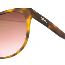 LO656S women's oval shaped acetate sunglasses