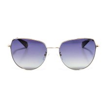 Polarized sunglasses PLD6073FSX men